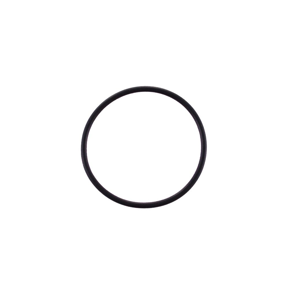 Seals: O-Ring (-109) .103 C.S. X 0.299 ID) Standard, N674-70